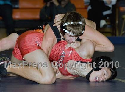 Thumbnail 2 in Antelope @ Foothill photogallery.
