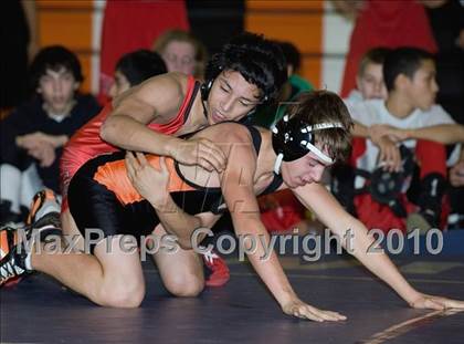 Thumbnail 2 in Antelope @ Foothill photogallery.