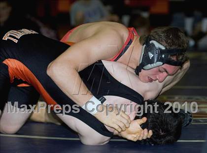 Thumbnail 3 in Antelope @ Foothill photogallery.