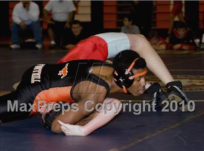 Thumbnail 1 in Antelope @ Foothill photogallery.