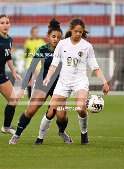 Thumbnail 1 in Rock Canyon vs. ThunderRidge (CHSAA 5A State Final) photogallery.
