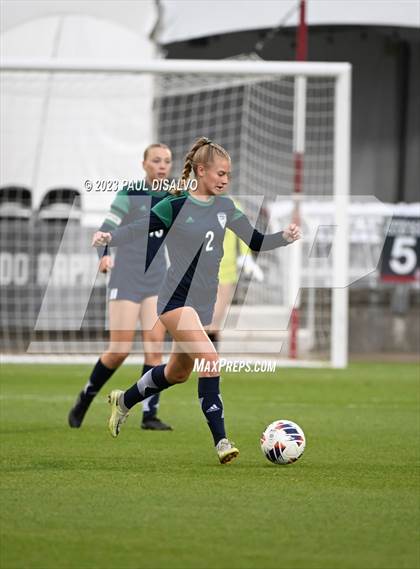 Thumbnail 1 in Rock Canyon vs. ThunderRidge (CHSAA 5A State Final) photogallery.