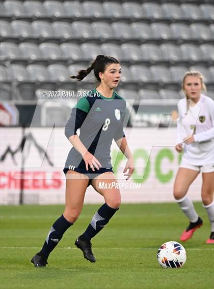 Thumbnail 3 in Rock Canyon vs. ThunderRidge (CHSAA 5A State Final) photogallery.