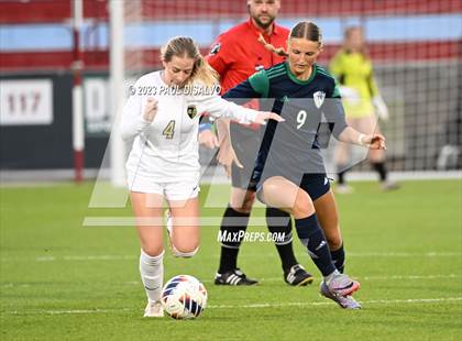 Thumbnail 3 in Rock Canyon vs. ThunderRidge (CHSAA 5A State Final) photogallery.