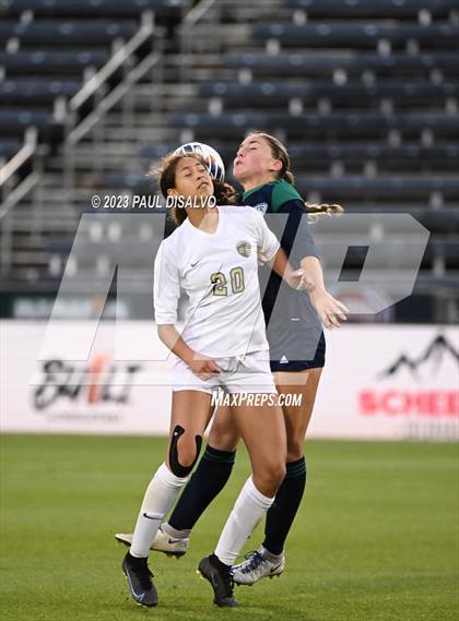 Thumbnail 1 in Rock Canyon vs. ThunderRidge (CHSAA 5A State Final) photogallery.