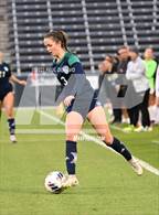 Photo from the gallery "Rock Canyon vs. ThunderRidge (CHSAA 5A State Final)"