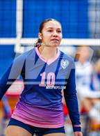 Photo from the gallery "Purnell Swett @ Scotland"