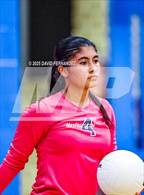 Photo from the gallery "Purnell Swett @ Scotland"