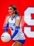 Photo from the gallery "Purnell Swett @ Scotland"