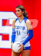 Photo from the gallery "Purnell Swett @ Scotland"