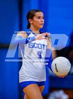 Photo from the gallery "Purnell Swett @ Scotland"