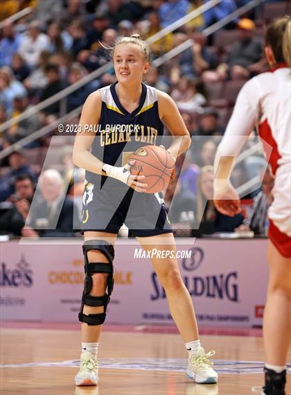 Thumbnail 3 in Archbishop Carroll vs. Cedar Cliff (PIAA 6A Championship) photogallery.