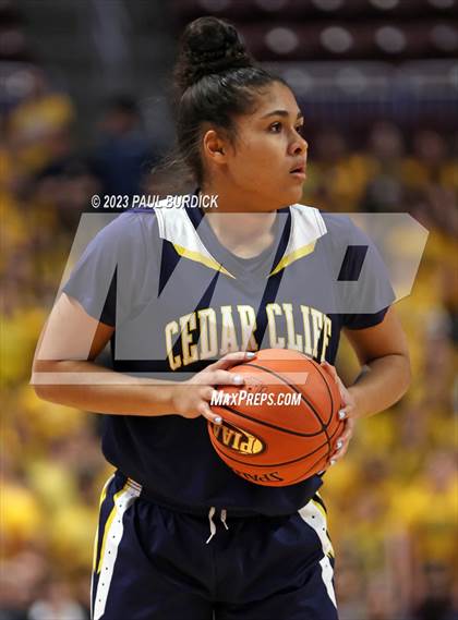 Thumbnail 3 in Archbishop Carroll vs. Cedar Cliff (PIAA 6A Championship) photogallery.