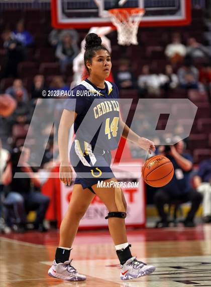 Thumbnail 3 in Archbishop Carroll vs. Cedar Cliff (PIAA 6A Championship) photogallery.
