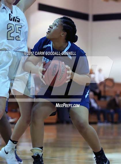 Thumbnail 2 in Northside - Jacksonville @ Croatan photogallery.