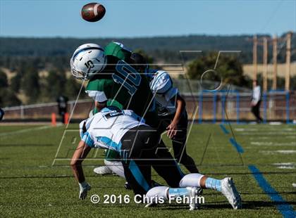 Thumbnail 3 in Vista Ridge @ Pine Creek photogallery.