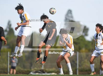 Thumbnail 1 in Foothill @ Sunny Hills photogallery.