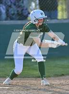 Photo from the gallery "Noblesville @ Pendleton Heights "