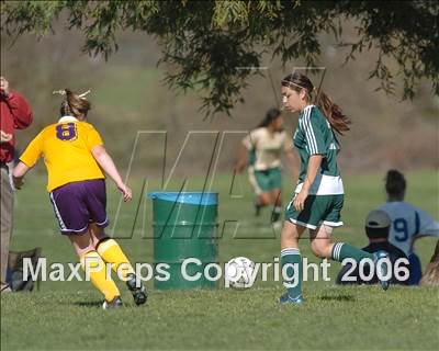Thumbnail 2 in Rodriguez vs. Escalon (Spring Classic) photogallery.