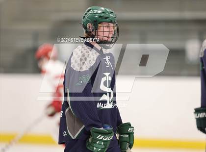 Thumbnail 2 in Regis Jesuit vs. Standley Lake (CHSAA 5A Quarterfinal) photogallery.