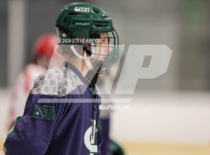 Thumbnail 1 in Regis Jesuit vs. Standley Lake (CHSAA 5A Quarterfinal) photogallery.