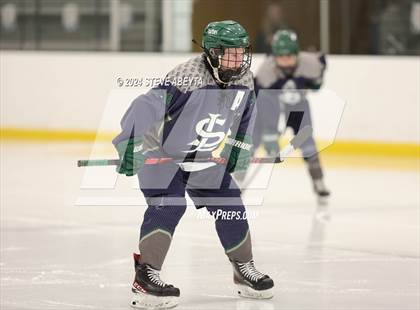 Thumbnail 1 in Regis Jesuit vs. Standley Lake (CHSAA 5A Quarterfinal) photogallery.