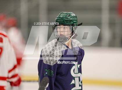 Thumbnail 2 in Regis Jesuit vs. Standley Lake (CHSAA 5A Quarterfinal) photogallery.