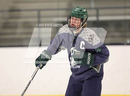 Thumbnail 1 in Regis Jesuit vs. Standley Lake (CHSAA 5A Quarterfinal) photogallery.