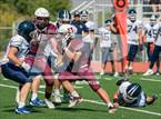 Photo from the gallery "White Pine @ Dayton"