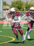 Photo from the gallery "White Pine @ Dayton"