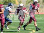 Photo from the gallery "White Pine @ Dayton"