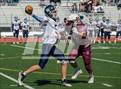 Photo from the gallery "White Pine @ Dayton"