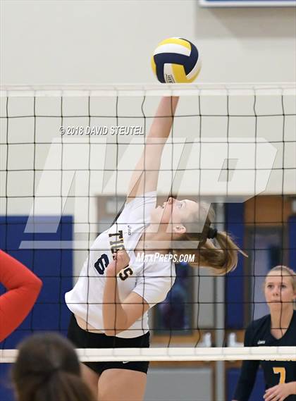 Thumbnail 3 in Antelope @ Inderkum photogallery.