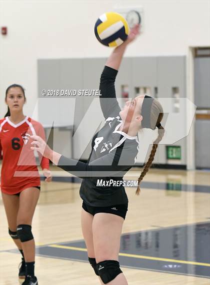 Thumbnail 2 in Antelope @ Inderkum photogallery.