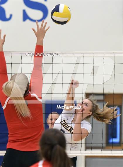 Thumbnail 1 in Antelope @ Inderkum photogallery.
