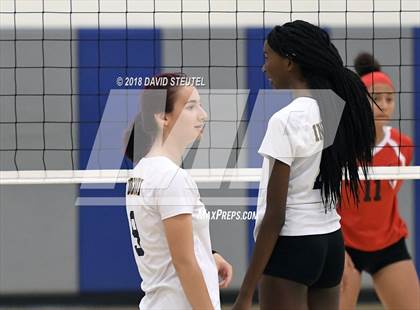 Thumbnail 1 in Antelope @ Inderkum photogallery.