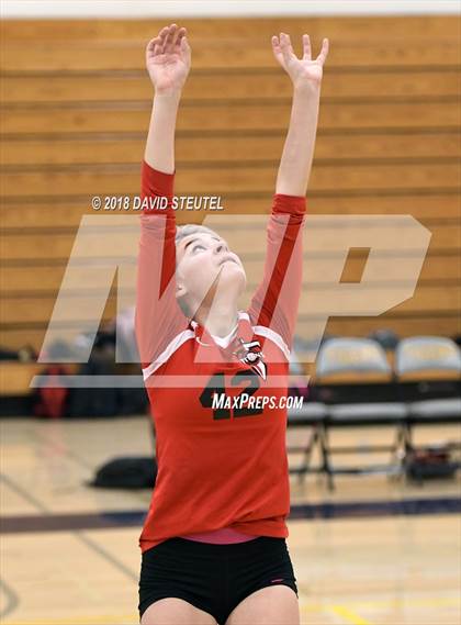 Thumbnail 2 in Antelope @ Inderkum photogallery.