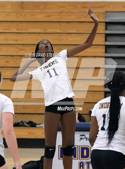 Thumbnail 2 in Antelope @ Inderkum photogallery.