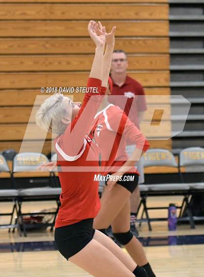 Thumbnail 1 in Antelope @ Inderkum photogallery.