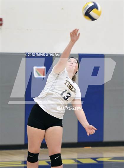 Thumbnail 2 in Antelope @ Inderkum photogallery.