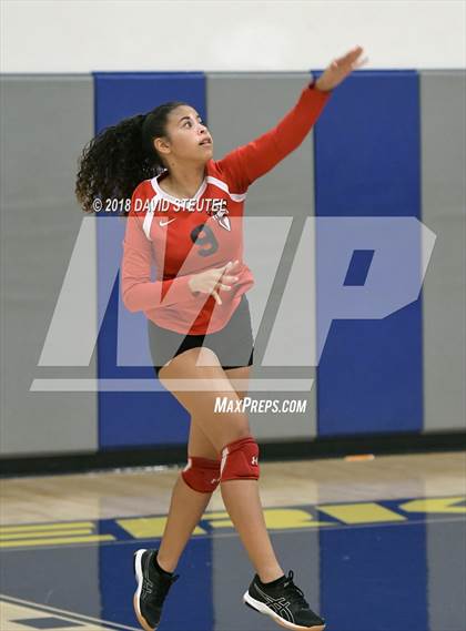 Thumbnail 3 in Antelope @ Inderkum photogallery.