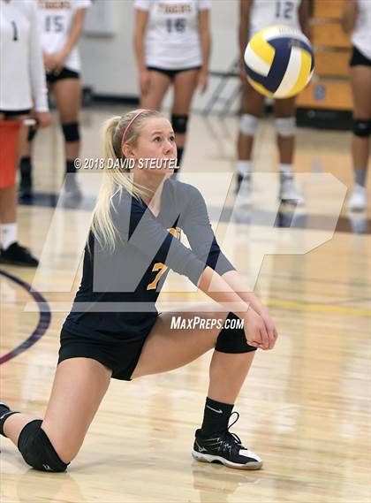 Thumbnail 1 in Antelope @ Inderkum photogallery.