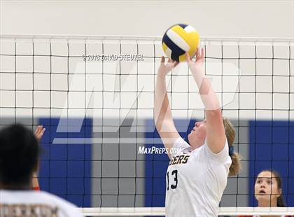 Thumbnail 3 in Antelope @ Inderkum photogallery.