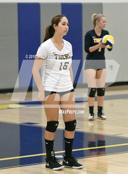 Thumbnail 1 in Antelope @ Inderkum photogallery.