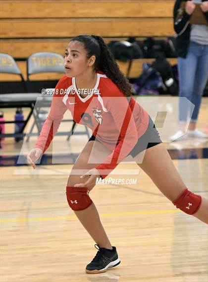 Thumbnail 2 in Antelope @ Inderkum photogallery.