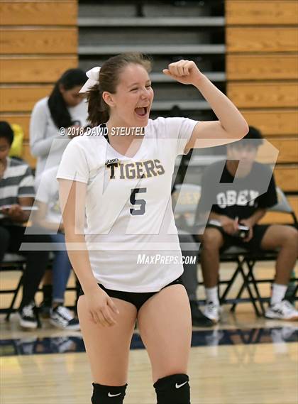 Thumbnail 1 in Antelope @ Inderkum photogallery.