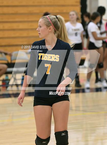 Thumbnail 2 in Antelope @ Inderkum photogallery.