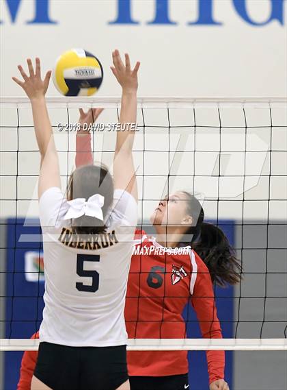 Thumbnail 3 in Antelope @ Inderkum photogallery.
