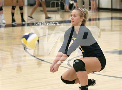Thumbnail 2 in Antelope @ Inderkum photogallery.