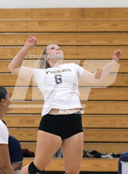 Thumbnail 1 in Antelope @ Inderkum photogallery.